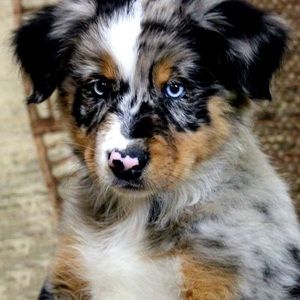 Meet your Posher, Jcjcjc